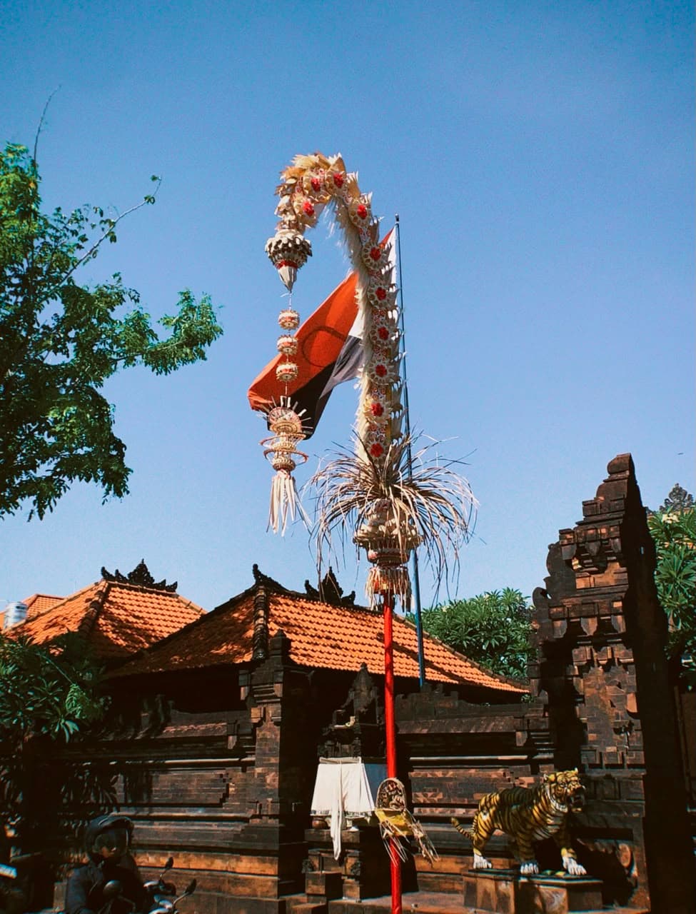 Life image